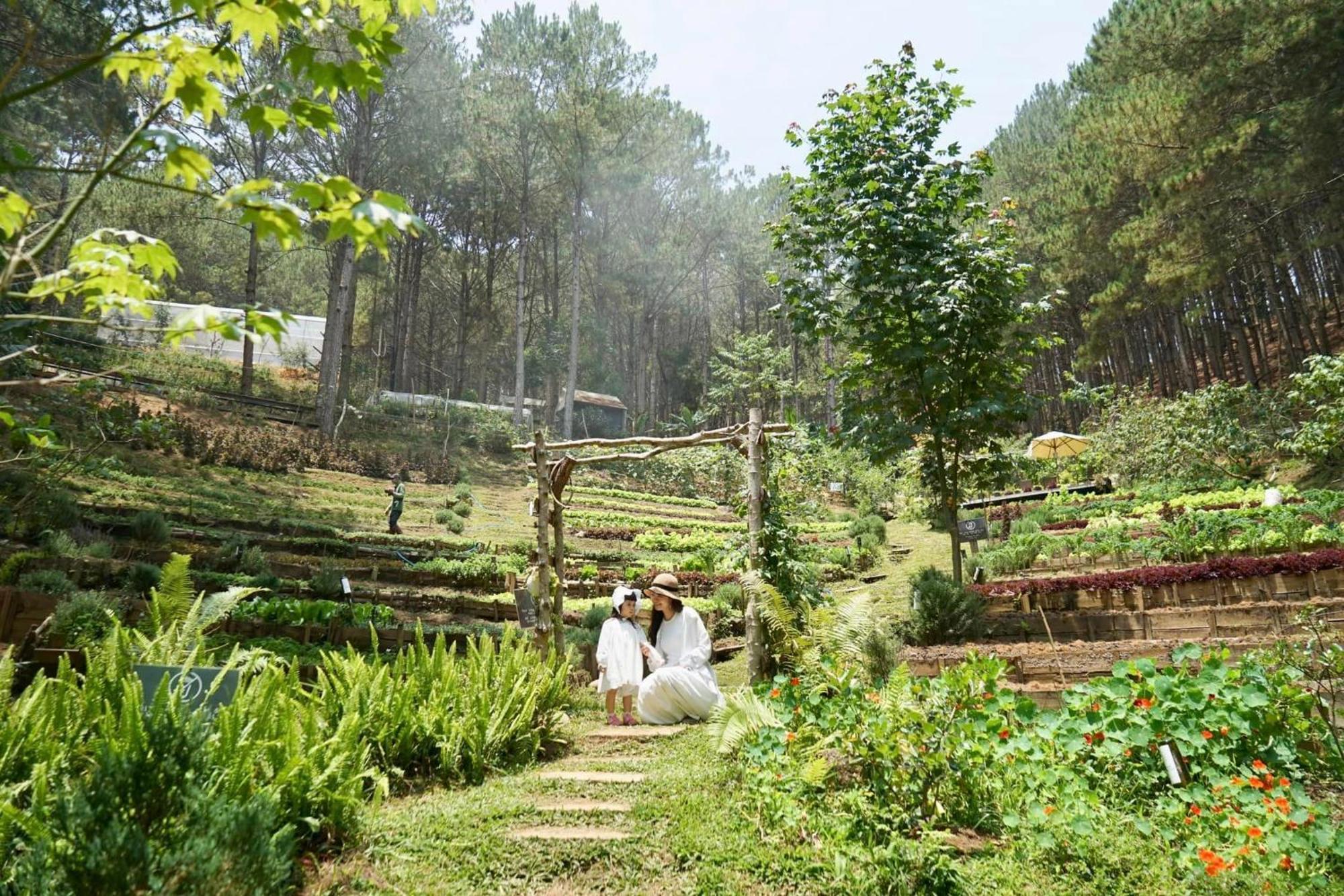 Mo Stay - Forest Resort Đà Lạt Exterior foto