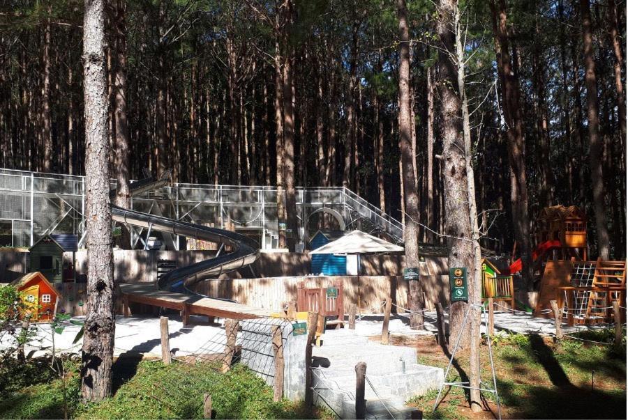 Mo Stay - Forest Resort Đà Lạt Exterior foto