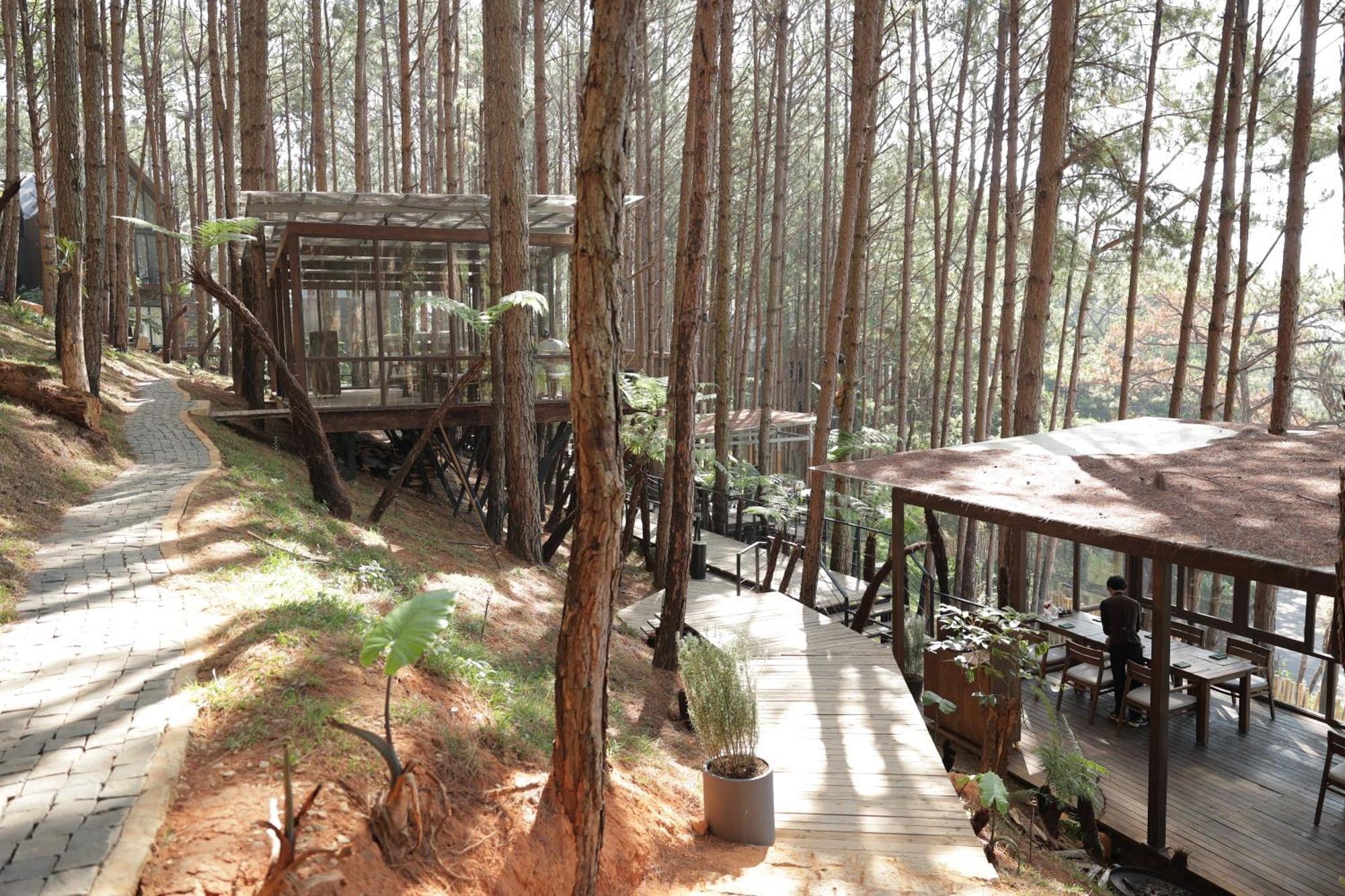 Mo Stay - Forest Resort Đà Lạt Exterior foto