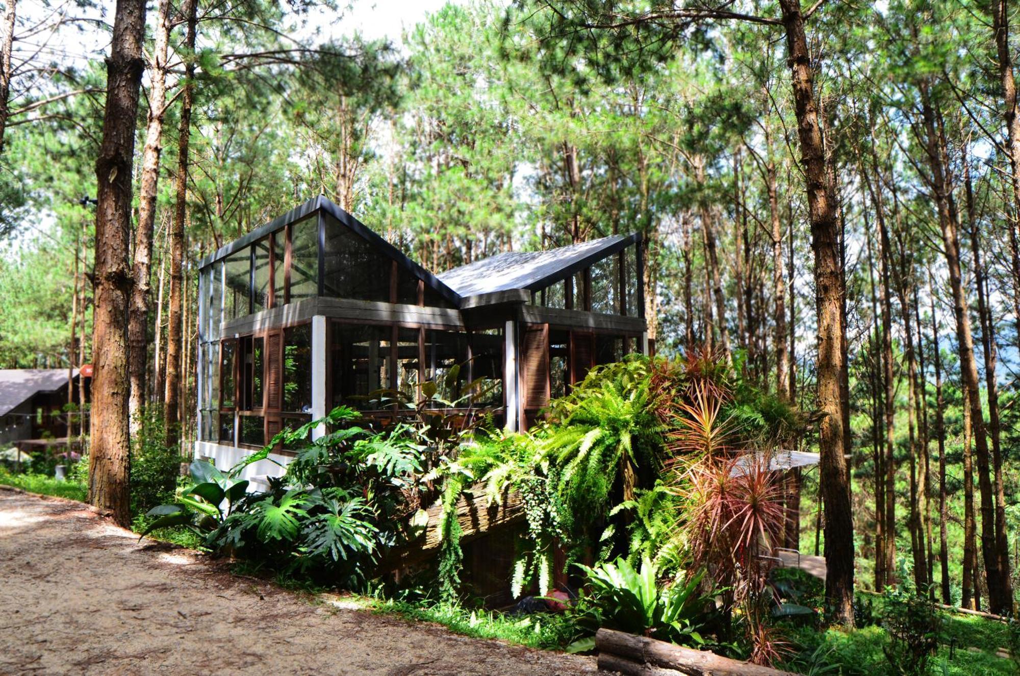 Mo Stay - Forest Resort Đà Lạt Exterior foto