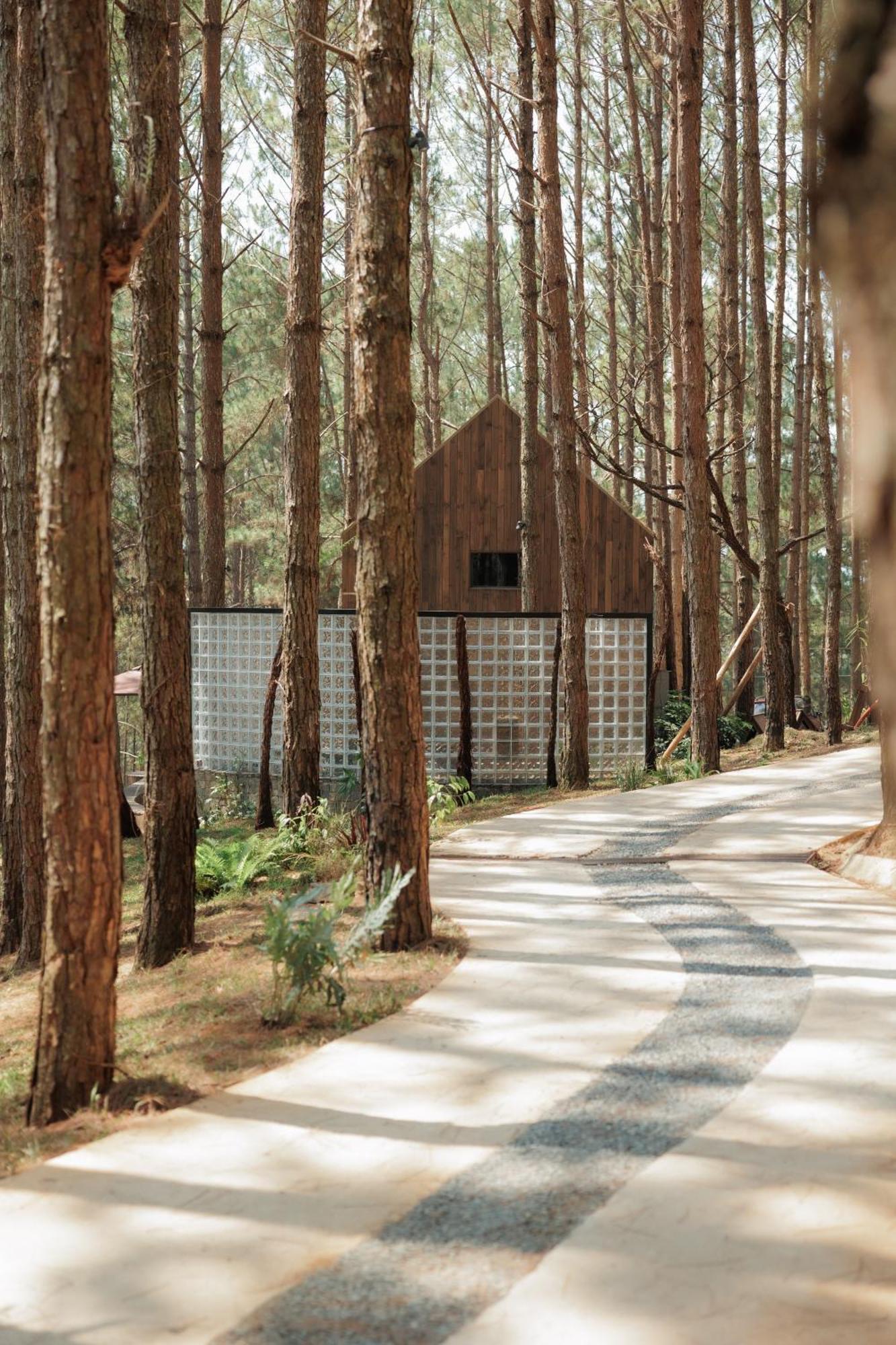 Mo Stay - Forest Resort Đà Lạt Exterior foto