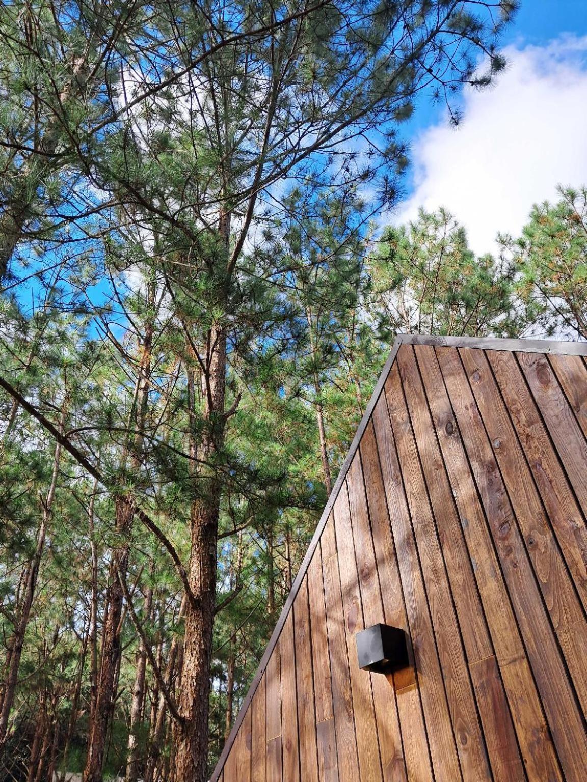 Mo Stay - Forest Resort Đà Lạt Exterior foto